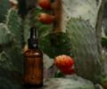 Mengenal Prickly Pear Seed Oil, Natural Ingredients Skincare yang Sedang Naik Daun di 2022